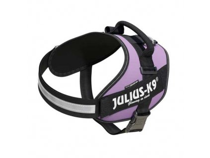 JULIUS K 9 LILA