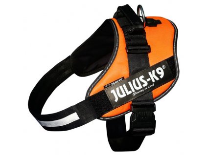 JULIUS K 9 ORANGE 5