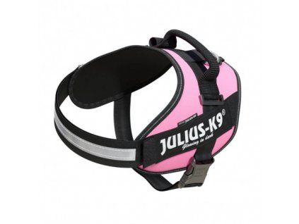 JULIUS K 9 PINK 2