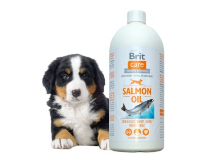 BC Salmon Oil 1L