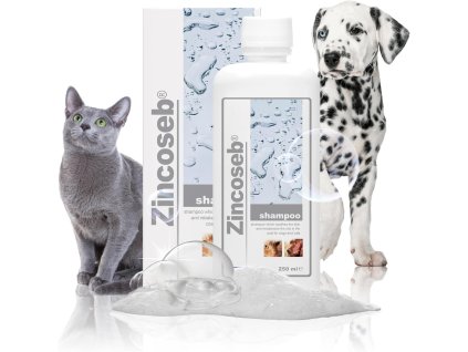 ICF ZINCOSEB 250ML 1