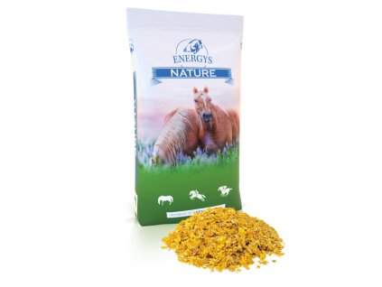 ENERGYS NATURE CORNFLAKES