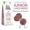 Brit Care Dog Sus Junior Large Breed Chicken Insect 4