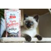 BC CAT MEATY SALMON 50G 1