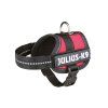 JULIUS K 9 BABY1 RED