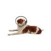 BUSTER QUICK COLLAR 2