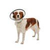 BUSTER QUICK COLLAR 1