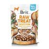 BRIT RAW TREAT DIGESTION 40G 2