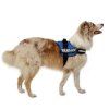 JULIUS K 9 BLUE 2 2