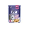 Brit Premium Cat Delicate Fillets in Jelly with Chicken 85 g