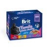 Brit Premium Cat kapsa Family Plate 1200g (12x100g)