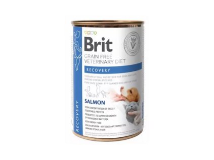 Brit Veterinary Diets GF cat + dog Recovery 400 g konzerva
