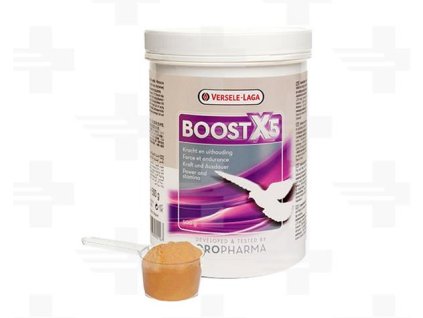 VL Holuby Boost X5 500g - sila a vytrvalosť