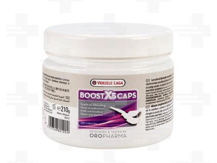 VL Holuby Boost X5 Caps 210g (350kapsul) - sila a vytrvalosť