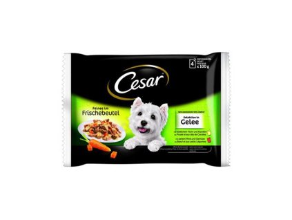 Mars CESAR kapsička dog Selection mix v želé 400 g