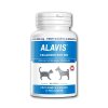 ALAVIS Celadrin 500 mg 60 tbl.