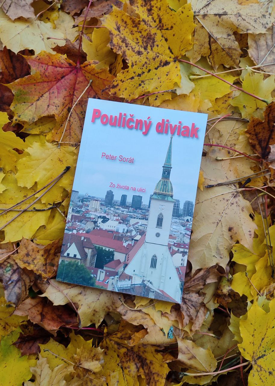 Audiokniha Pouličný diviak - Peter Sorát