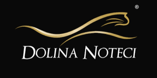 Dolina Noteci