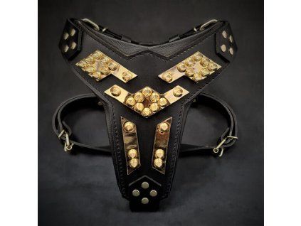 Midas%20Harness%20Gold