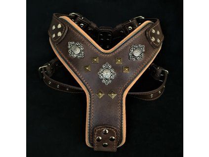 Aztec%20brown%20harness