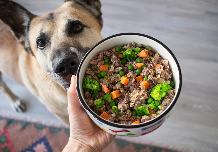 Pejsek s krmivem Petfoodie