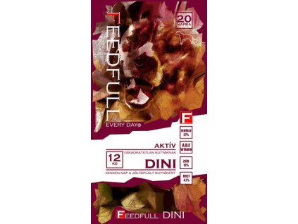 dini6 aktiv350