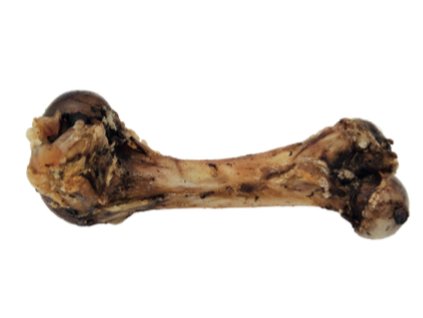 Špiková kosť cca 20cm
