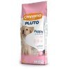 pluto puppy 15 kg
