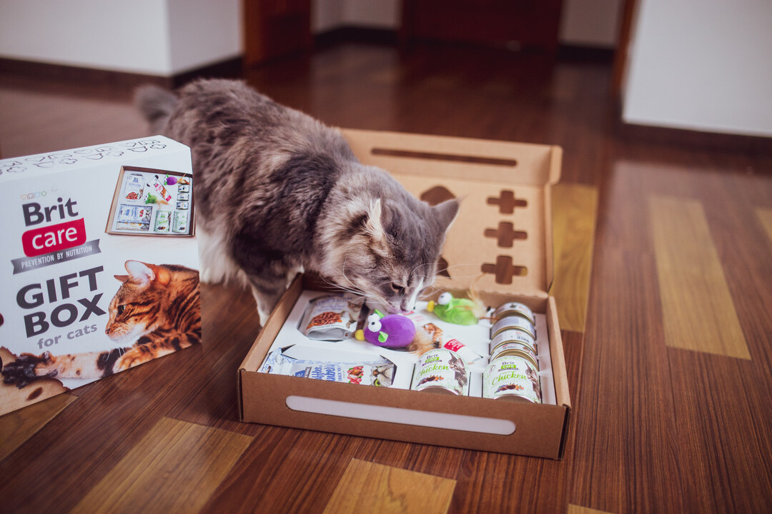 brit-care-cat-gift-box