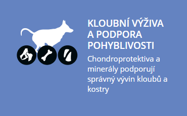 Kloubní výživa a podpora pohyblivosti psa