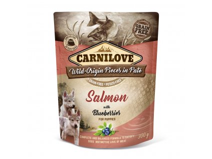 Carnilove Dog Pouch Paté Salmon with Blueberries for Puppies 300 g