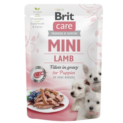 BC MINI kapsicka lamb puppy