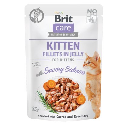 kitten salmon 01