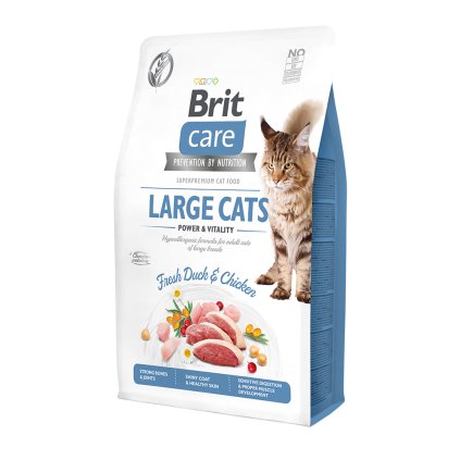 large cats 2kg