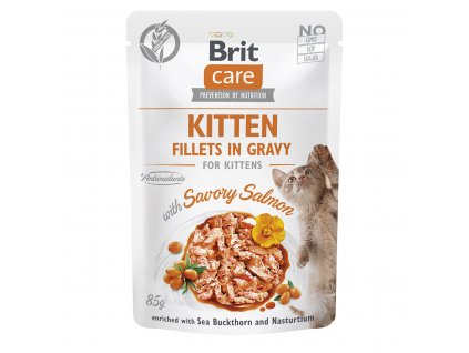 BCC Kitten Fillets in Gravy with Savory Salmon 85 g