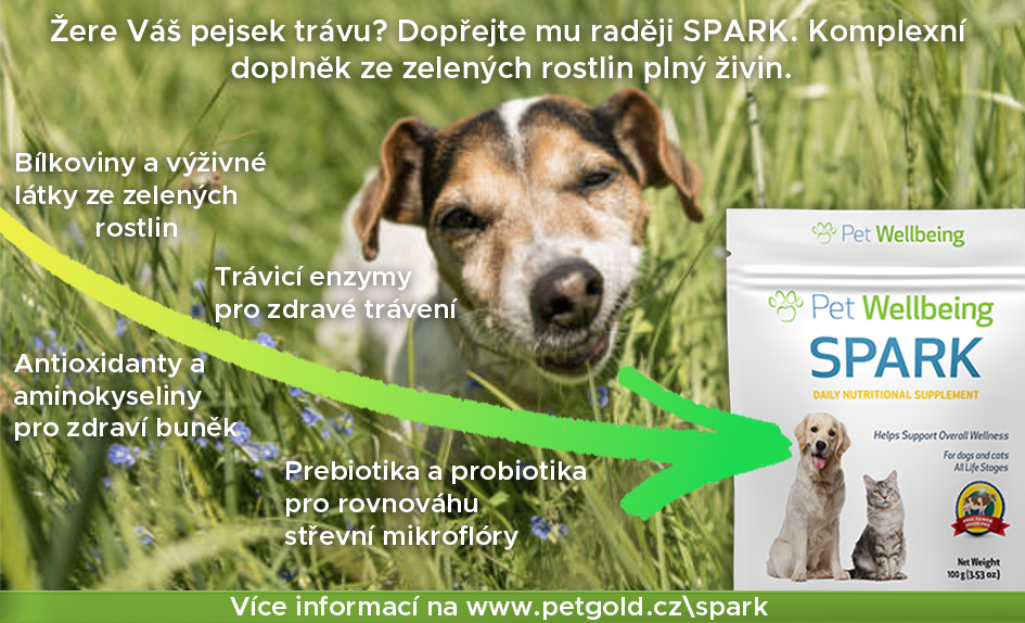 Spark