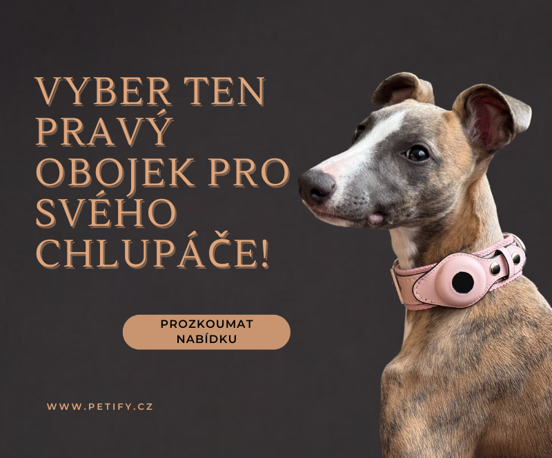 petify-obojky-pro-psy