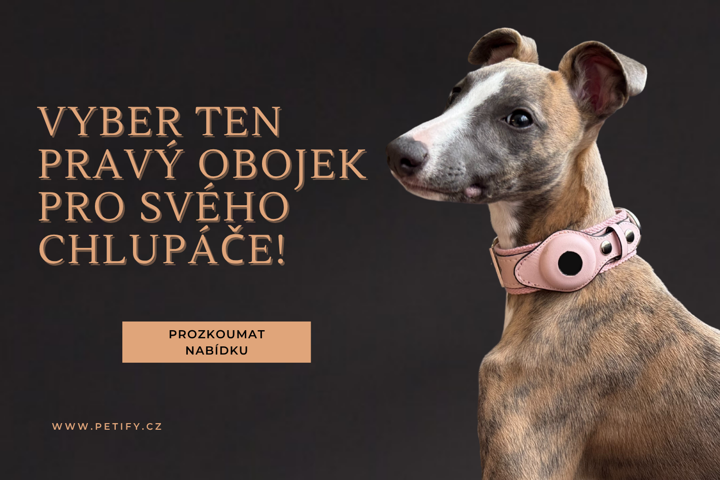 obojky-pro-psy