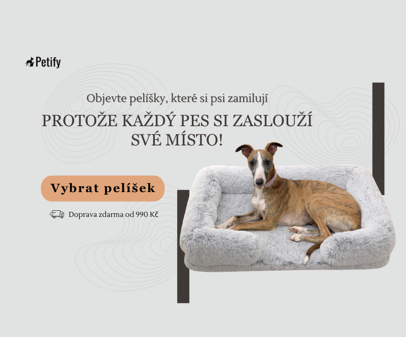 pelisky-pro-psy