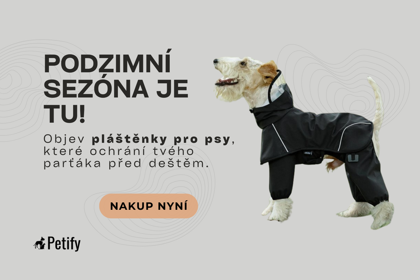 plastenky-pro-psy