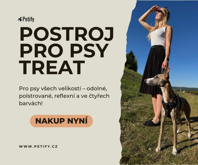 postroj-pro-psa-treat