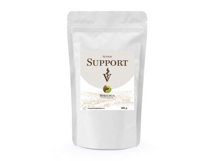 senior support