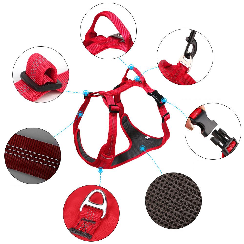 Petify Postroj pro psa Treat červený Velikost: S