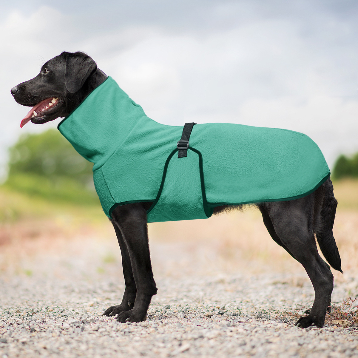 Petify Zimní kabát pro psa Coatix modrý Velikost: XXL