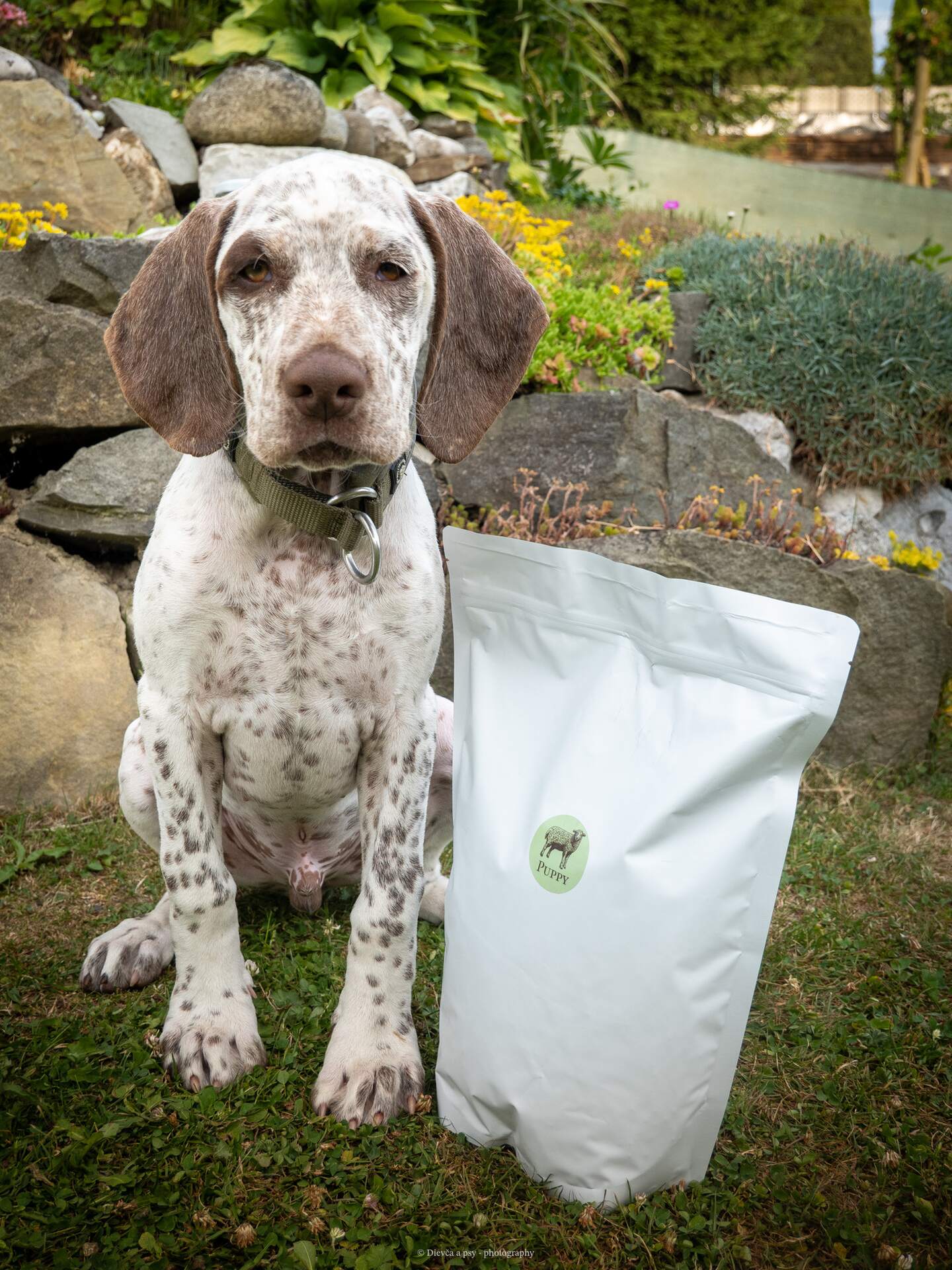BOHEMIA WILD Puppy Lamb 10 kg