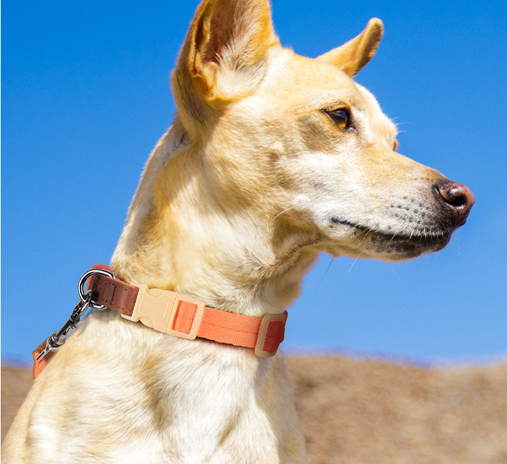 Petify Obojek pro psa Furry oranžový Velikost: S