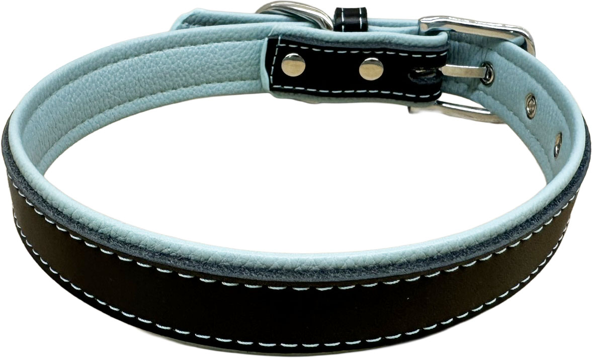 Petify Kožený obojek pro psa Loyal modrý Velikost: M