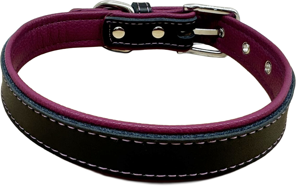 Petify Kožený obojek pro psa Loyal fialový Velikost: XXS