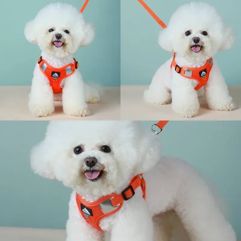 Petify Postroj pro psa s vodítkem Zoomie oranžový Velikost: S