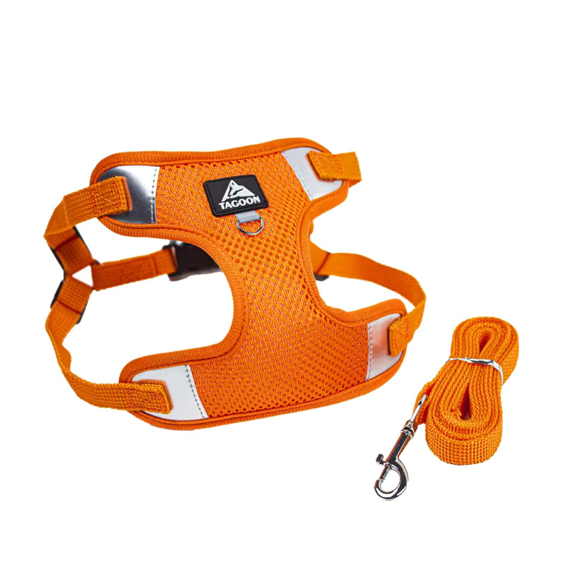 Petify Postroj pro psa s vodítkem Zoomie oranžový Velikost: XL